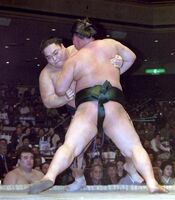 Kanechika gets pushed out by Kinkaiyama (c. 1998)