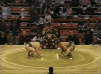 Tochinoyama's Fighting Style 2