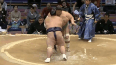 Tokushinho's Fighting Style