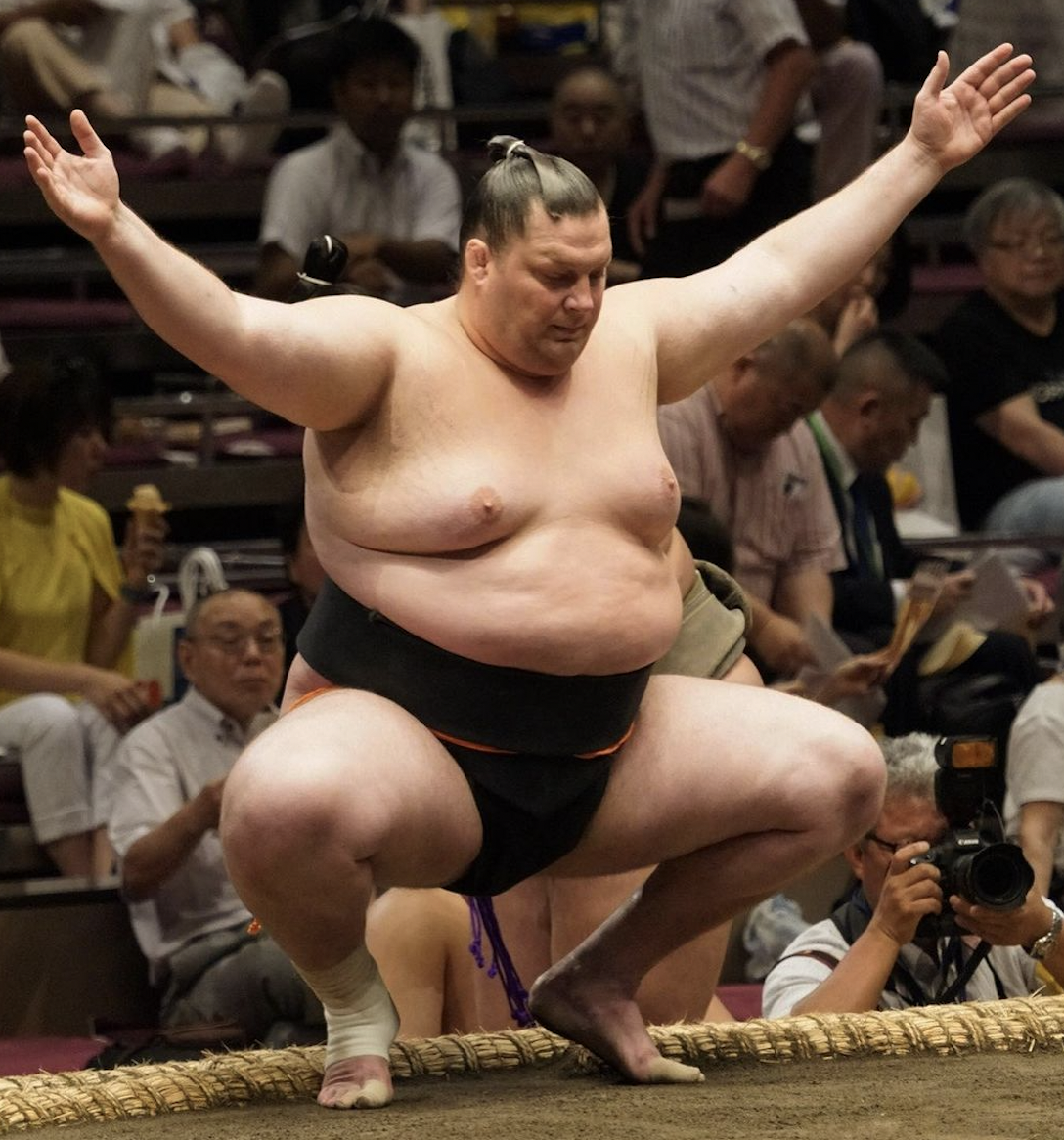 SUMO