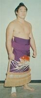 Tenryu poses with his kesho-mawashi (c. 1976)