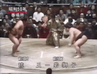 Wakajishi's Fighting Style