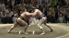 Amuru Fighting Style