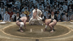 Yutakayama's Fighting Style 2