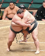 Akiseyama battles the future Hakuoho (c. 2023)