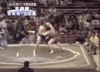 Dewaotori's Fighting Style