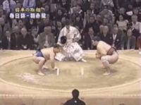 Shunketsu's FIghting Style