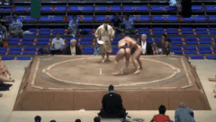 Hatogasaki's Fighting Style