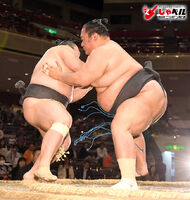 Shunba battles Toyonshima (c. 2017)