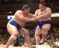 Tochinohana pushes out and defeats Ushiomaru (c. 2003)