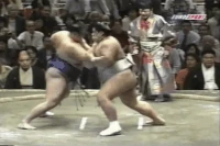 Musoyama Masashi | Sumowrestling Wiki | Fandom