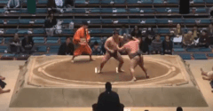 Nishikikaze's Fighting Style