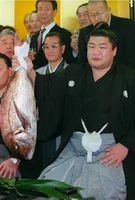 Musoyama Masashi | Sumowrestling Wiki | Fandom