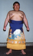 Wakazakura during his time in maezumo (c. 1993)