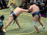 Ikioi defeats Yokozuna Kakuryu (c. 2018)