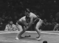 Aonosato's Fighting Style
