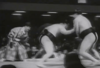 Fujinishiki's Fighting Style