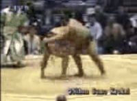 Daishochi's Fighting Style