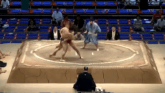 Fujinoumi's Fighting Style