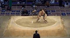 Tetsuyuzan's Fighting Style