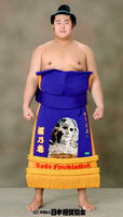 Tochinowaka Michihiro - 2012 (Retrieved from the JSA)