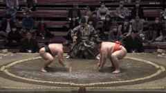 Chiyonoumi's Fighting Style 2