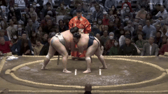 Kotozakura 2 Fighting Style