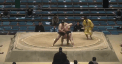 Satonofuji's Fighting Style