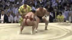 Yoshikaze's Fighting Style