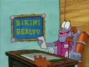 Koralovska prodaja nekretnina