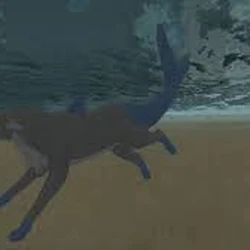 Sundown Island Wiki Fandom - fandom sundown island roblox wiki Sundown Island Wiki Fandom - sundown island roblox wiki