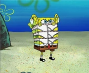 576