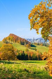 Shutterstockhills