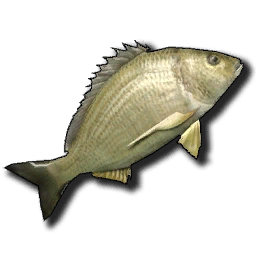 Brasse Sunkenland Wiki Fandom