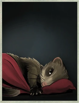 Comatose Ferret