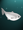 SS fish whitesmall