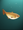 SS fish goldsmall