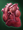 SS heartsmall.png