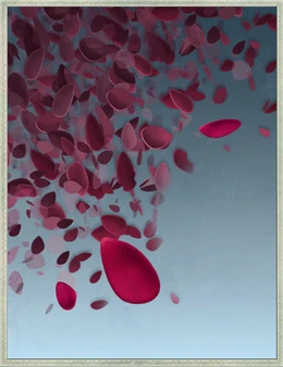 SS rosepetalsgaz
