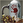 CondemnedExperiment square icon.png