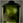 Uncannyspecimen square icon.png