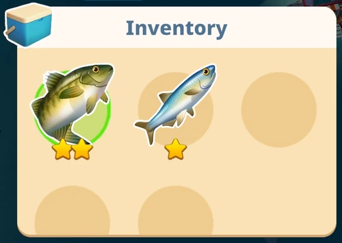 Fish Market | Sunshine Island Wiki | Fandom