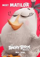 Yksi Angry birds-elokuvan julisteista