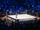 WWE Ring (World Wrestling Entertainment)
