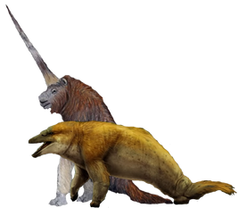 Specungulate Duo