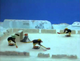 Pingu Ice Hockey Rink (Pingu)