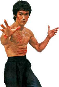 Bruce lee super fight 2025