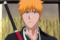 Ichigo Kurosaki (Shinigami) Saga Fullbring, Wiki