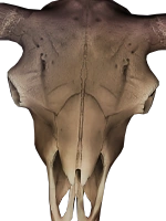 Cow Skull | Super Custom Night Wiki | Fandom