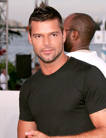 Ricky Martin Super Festival Wiki Fandom